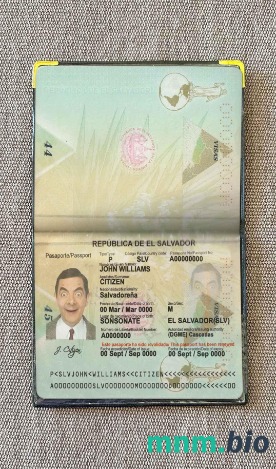 Salwador zdjęcie do paszportu pliki PSD, skan i fotografowany obraz